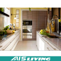 Manufacture Price Home Design Custom Kitchen Cabinets Furniture (AIS-K352)